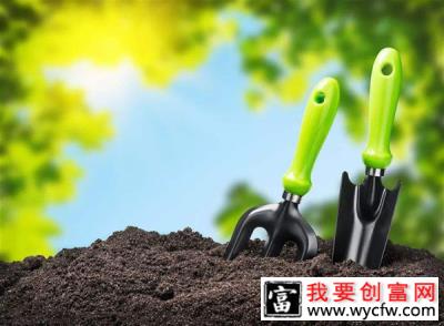 什么是种植土？种植土有什么要求？