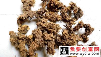 射干种植技术有哪些？2020年射干种植前景怎么样？