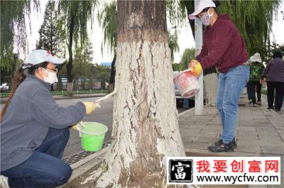 深秋已至，苗木涂白的最佳时机和方法你都知道吗？