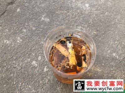 烟头水可以杀虫，怎样自制烟头水养花？