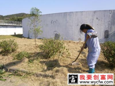 四月份苗圃管理该做哪些？