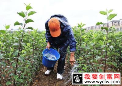 4月份园林绿化养护要点