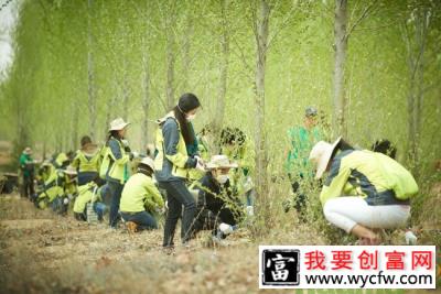 提高春季植树成活率