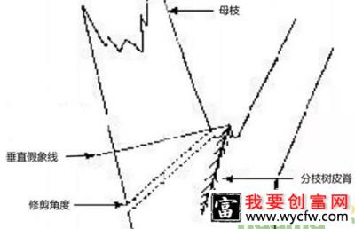 我国园林行业苗木修剪标准