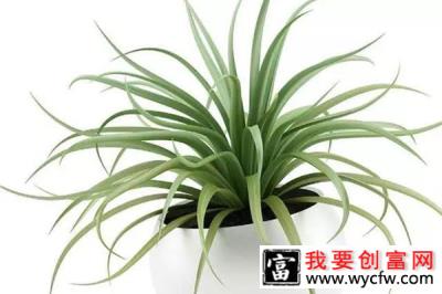 想要植物安稳过冬.jpg