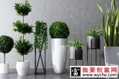 想要植物安稳过冬5.jpg